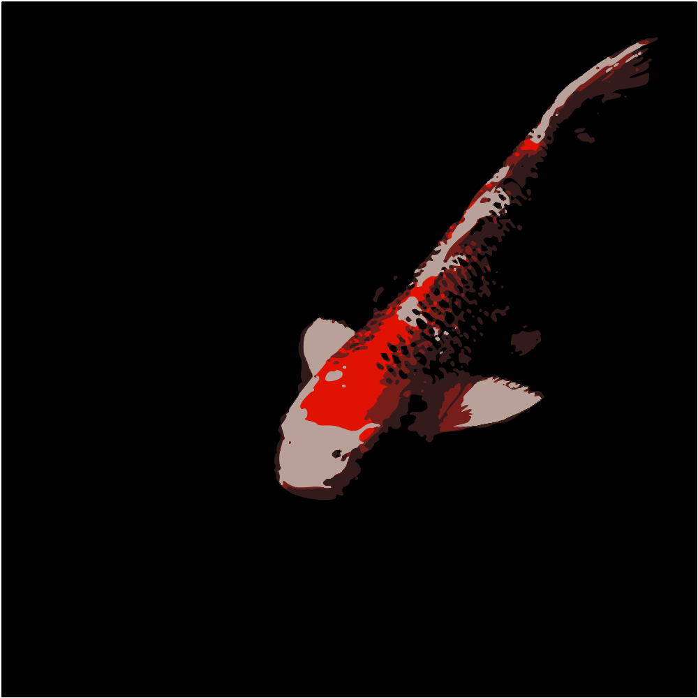 Orange And White Fish In Dark Room converted to vector