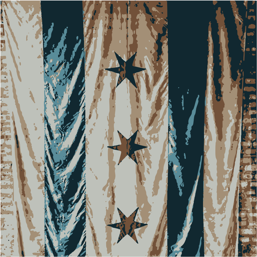 Blue And White Star Print Textile converted to vector