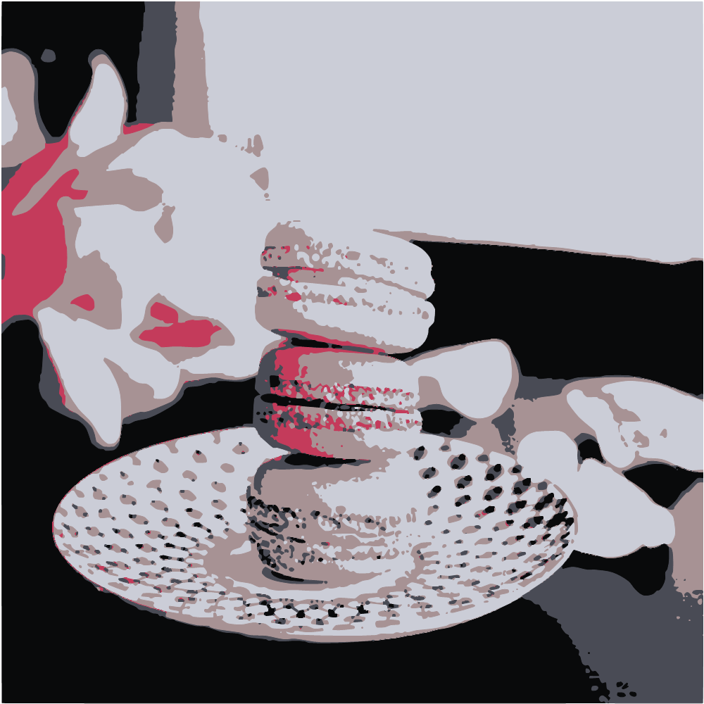 3 Layered Cookies On White Ceramic Plate converted to vector