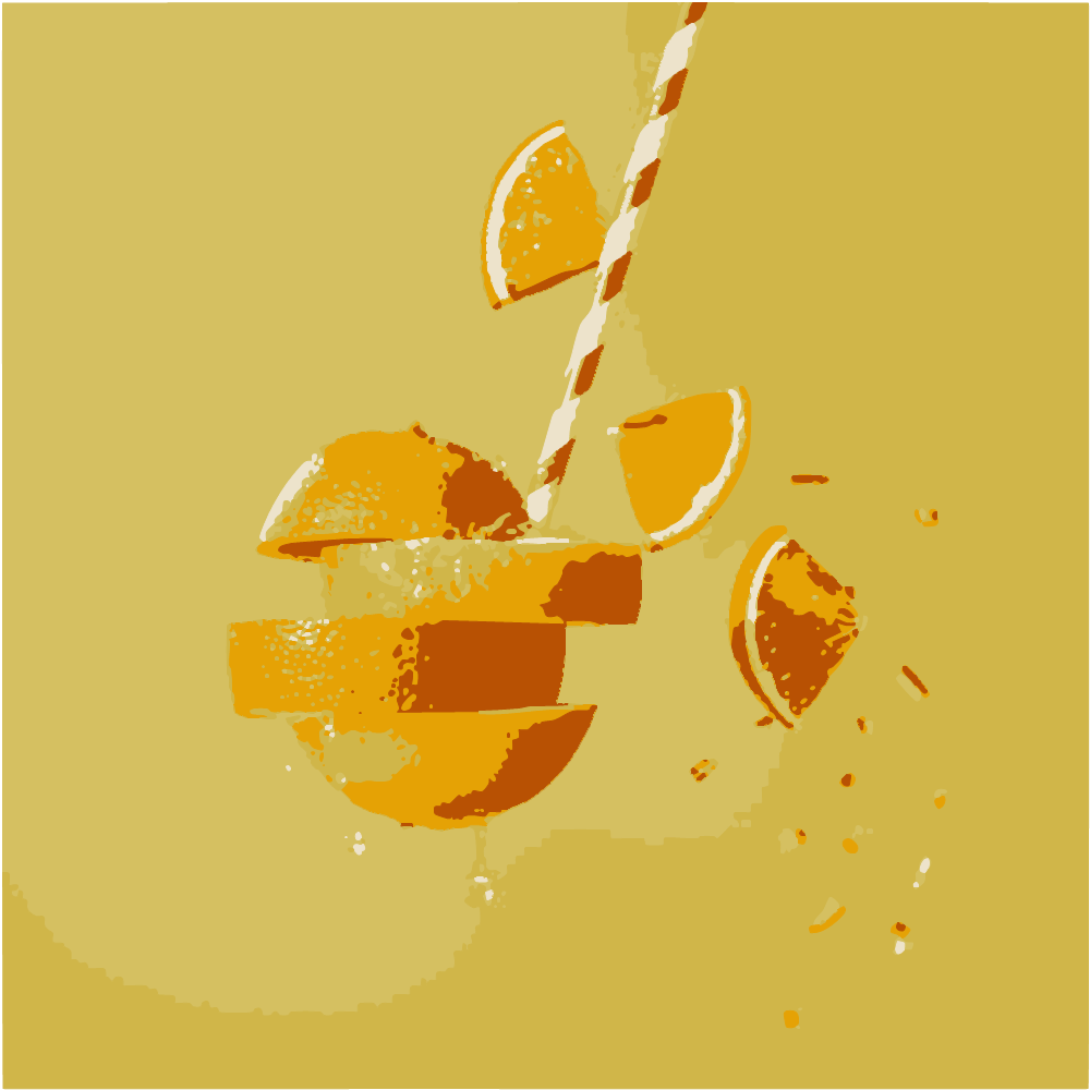Sliced Orange Fruit With Straw converted to vector