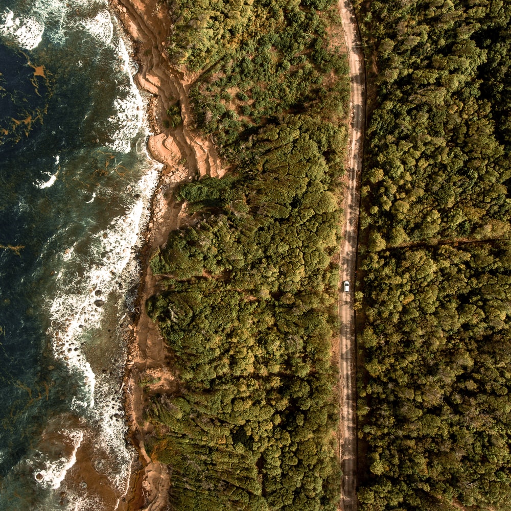 Aerial View Of Green And Brown Mountain Beside Body Of Water During Daytime raster image