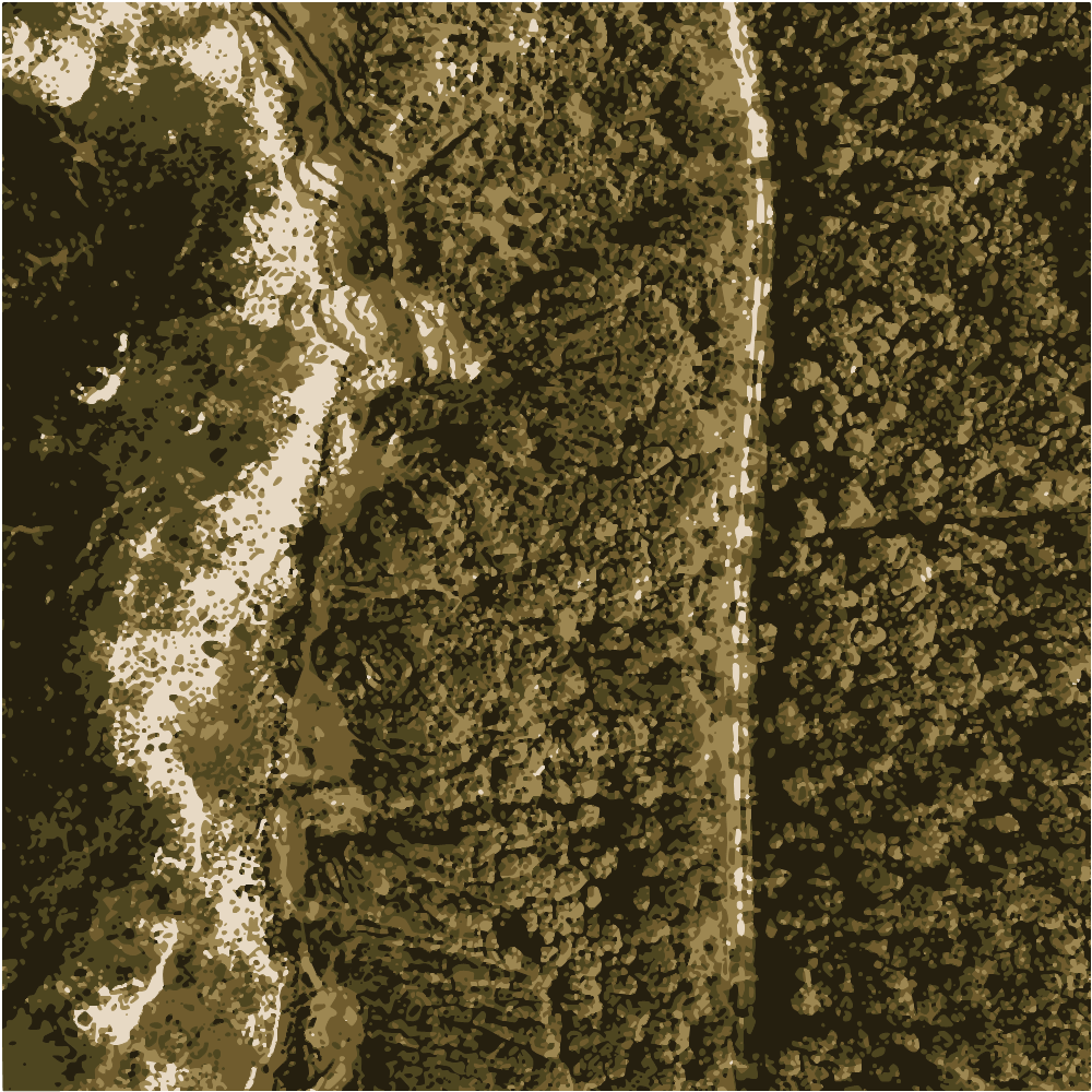 Aerial View Of Green And Brown Mountain Beside Body Of Water During Daytime converted to vector