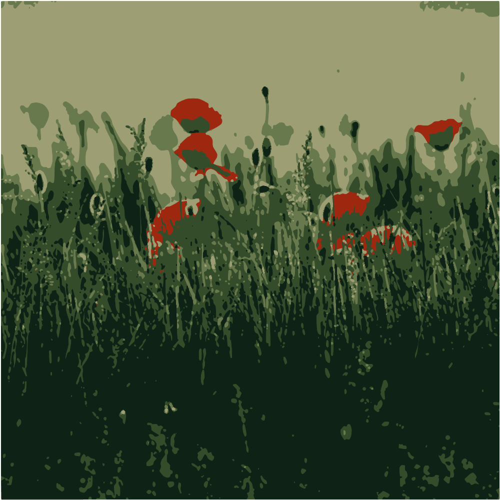 Red Flowers On Green Grass Field During Daytime converted to vector
