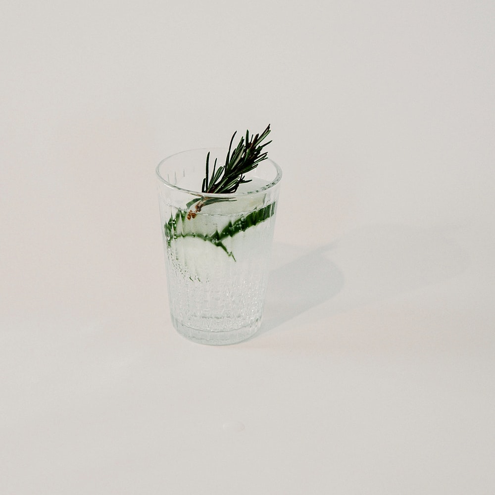 Green Plant In Clear Glass