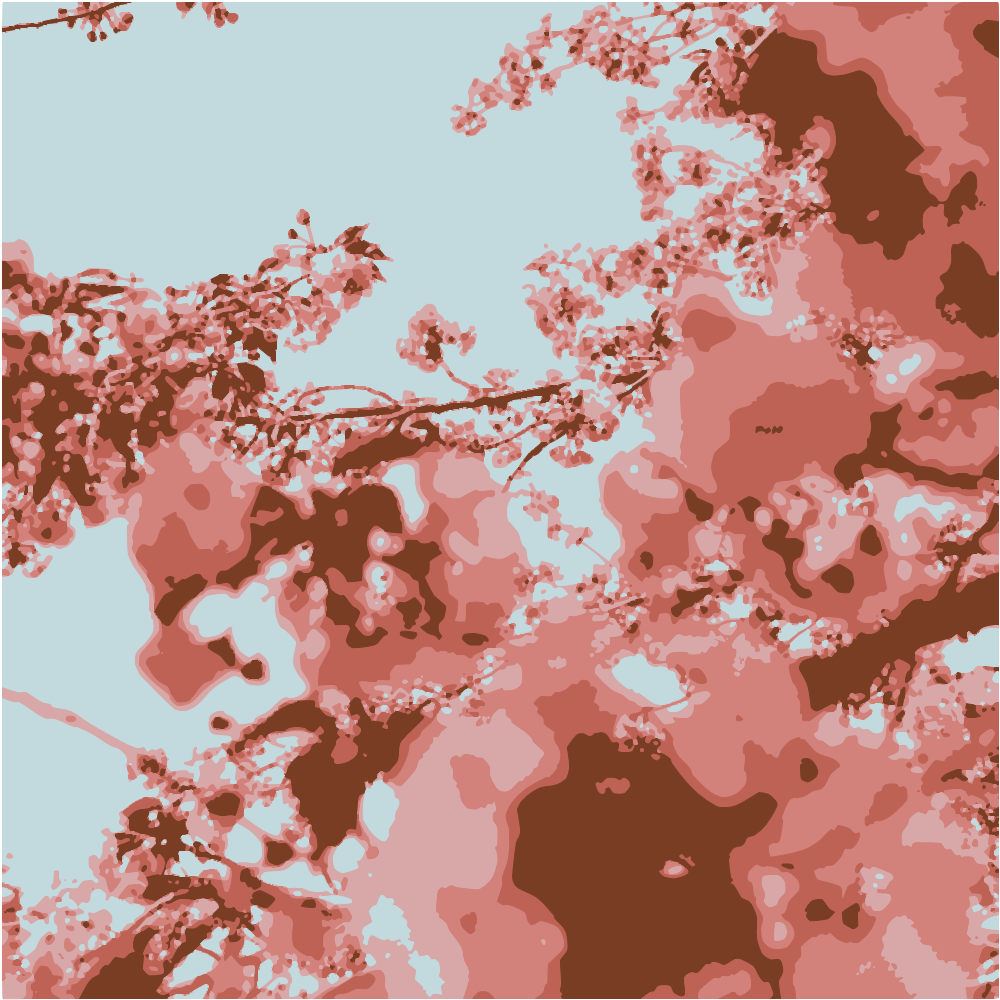 Pink Cherry Blossom Tree Under Blue Sky During Daytime converted to vector