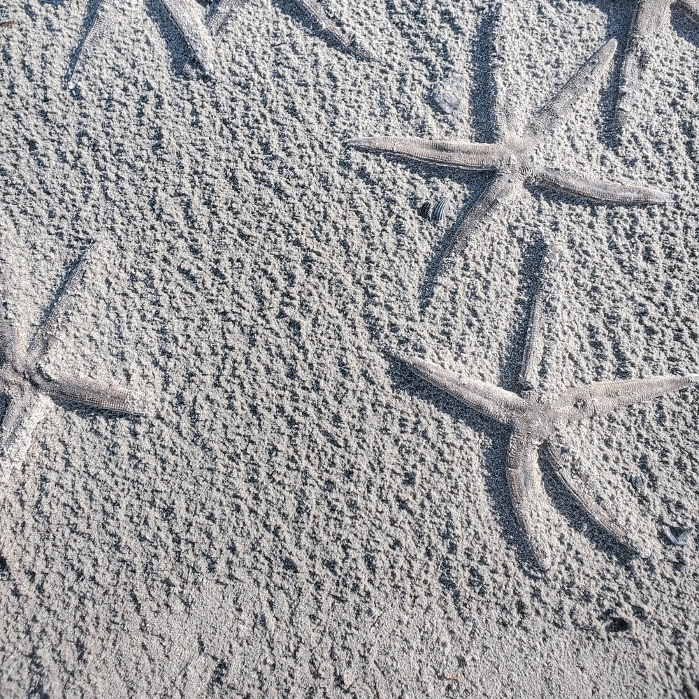 White Snow On Brown Sand