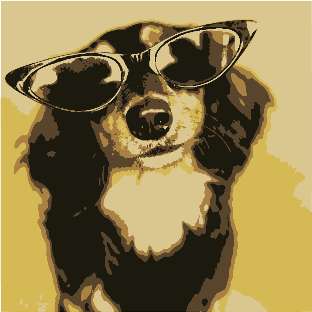 Black White And Brown Long Coated Dog Wearing Black Sunglasses converted to vector