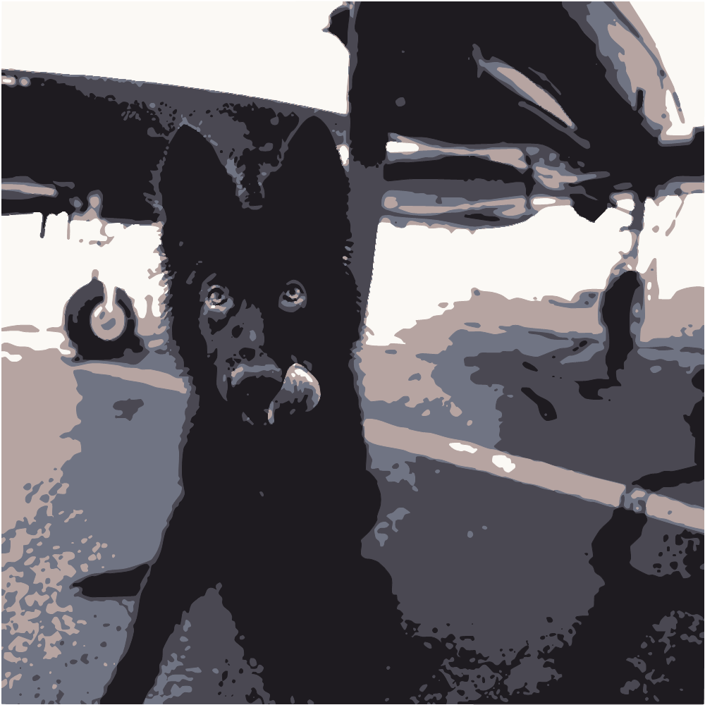 Black Long Coated Medium Sized Dog On Black Asphalt Road During Daytime converted to vector