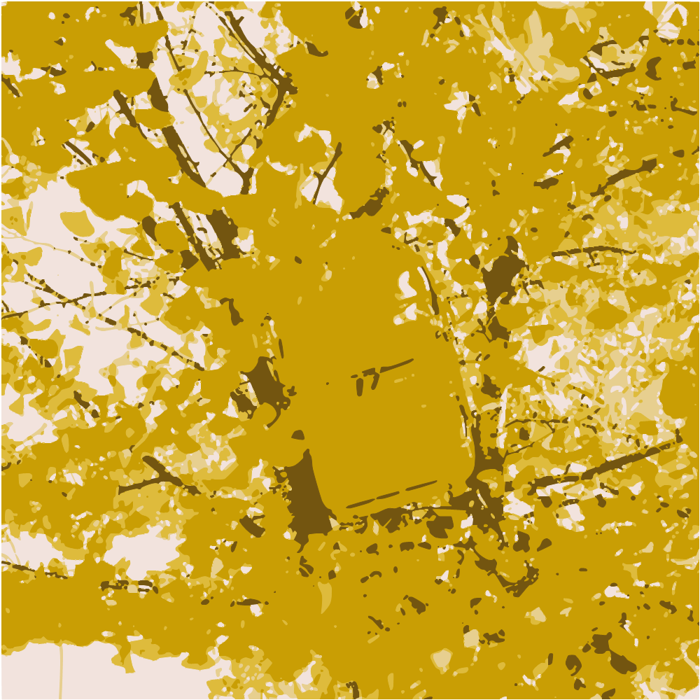 Yellow Maple Tree During Daytime converted to vector