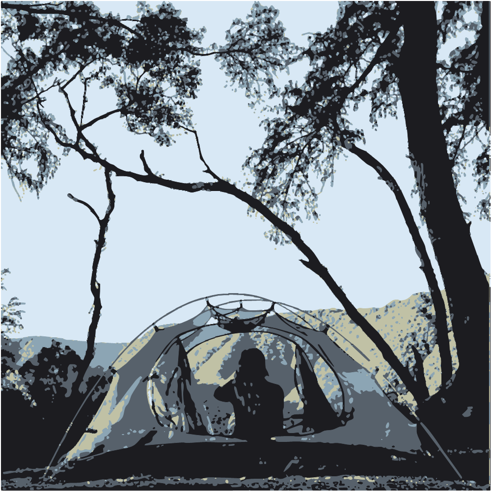 Person In Tent Under Tree During Daytime converted to vector