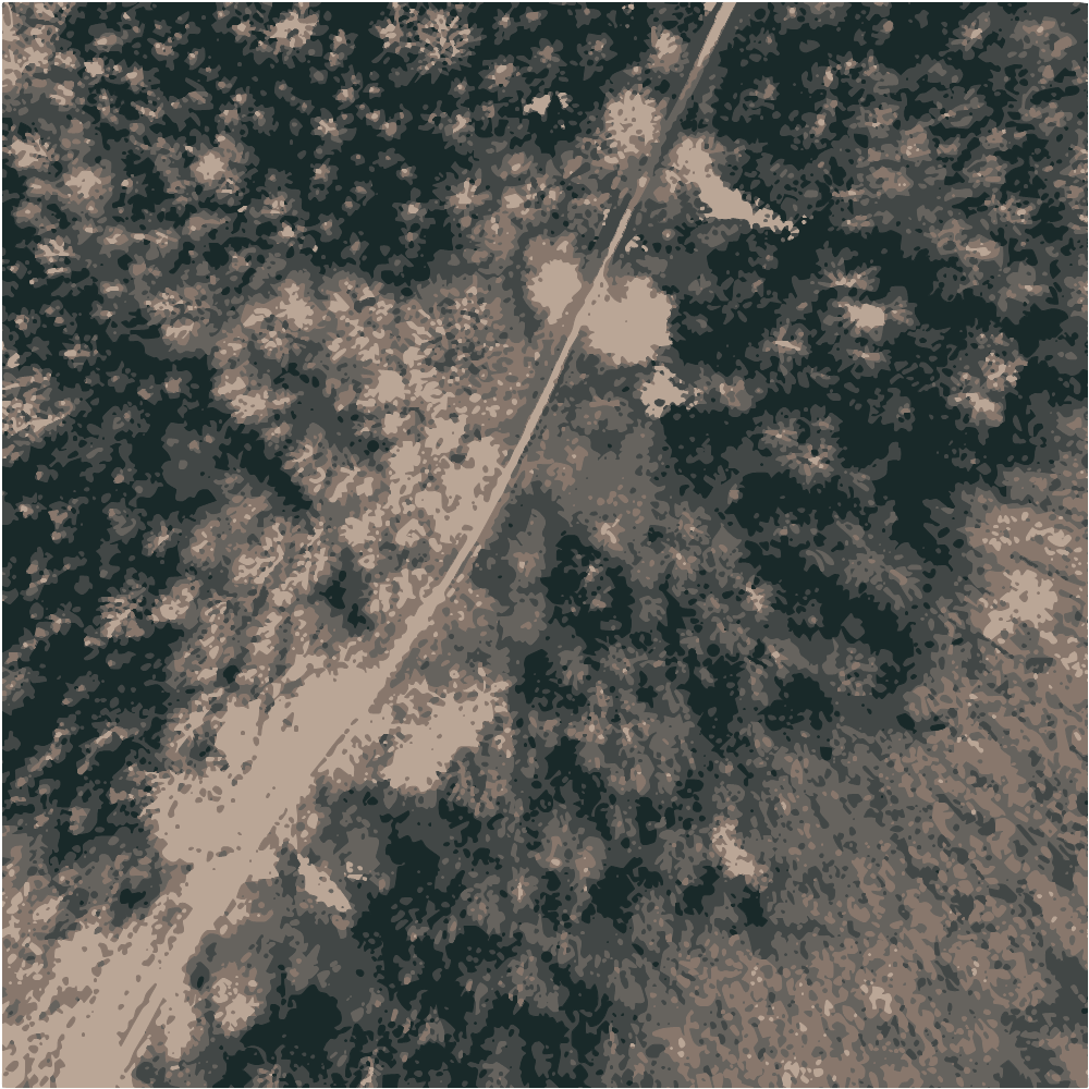 Aerial View Of Road Between Trees converted to vector