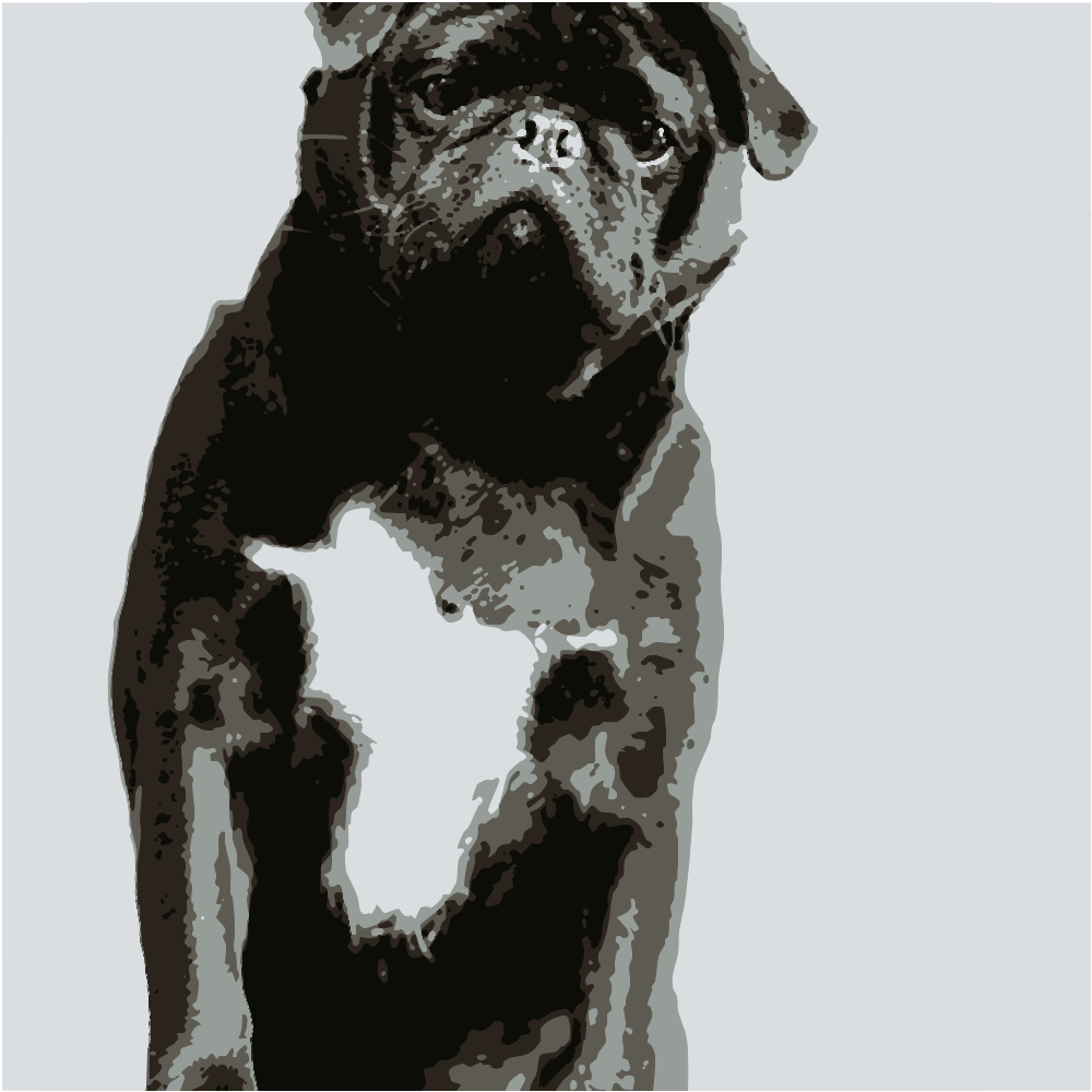 Black And White Pug Puppy converted to vector