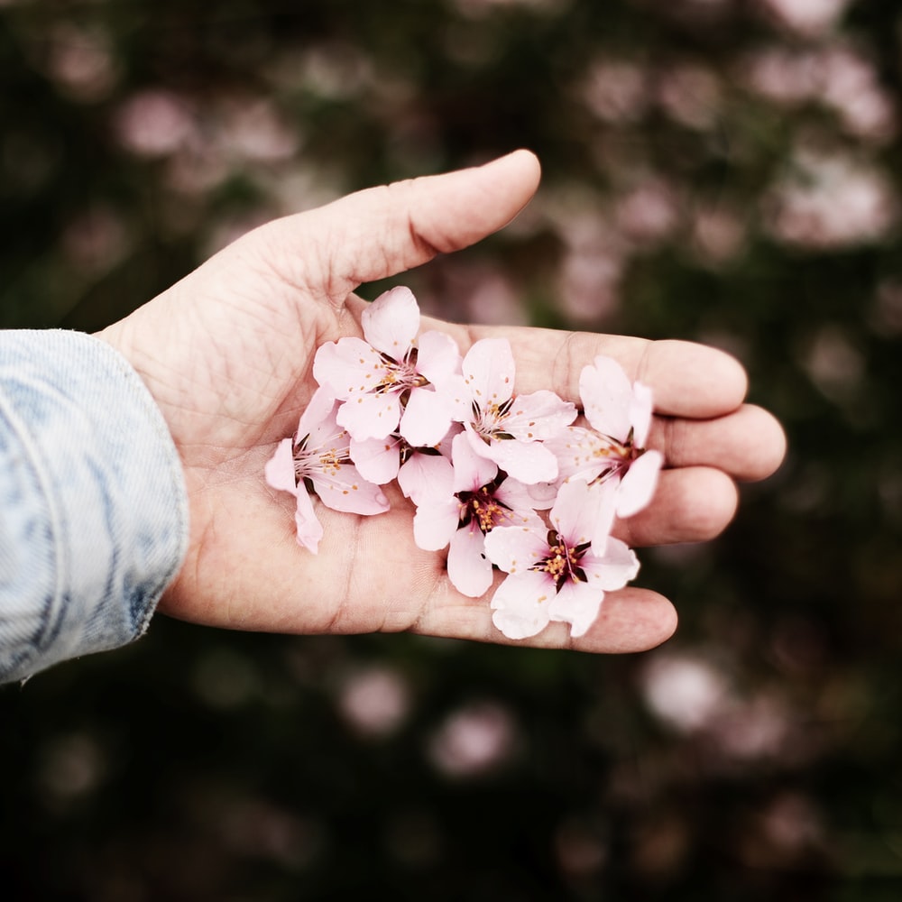 White Flower On Persons Hand