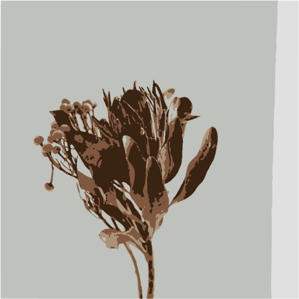 Brown And White Flower In Clear Glass Vase converted to vector