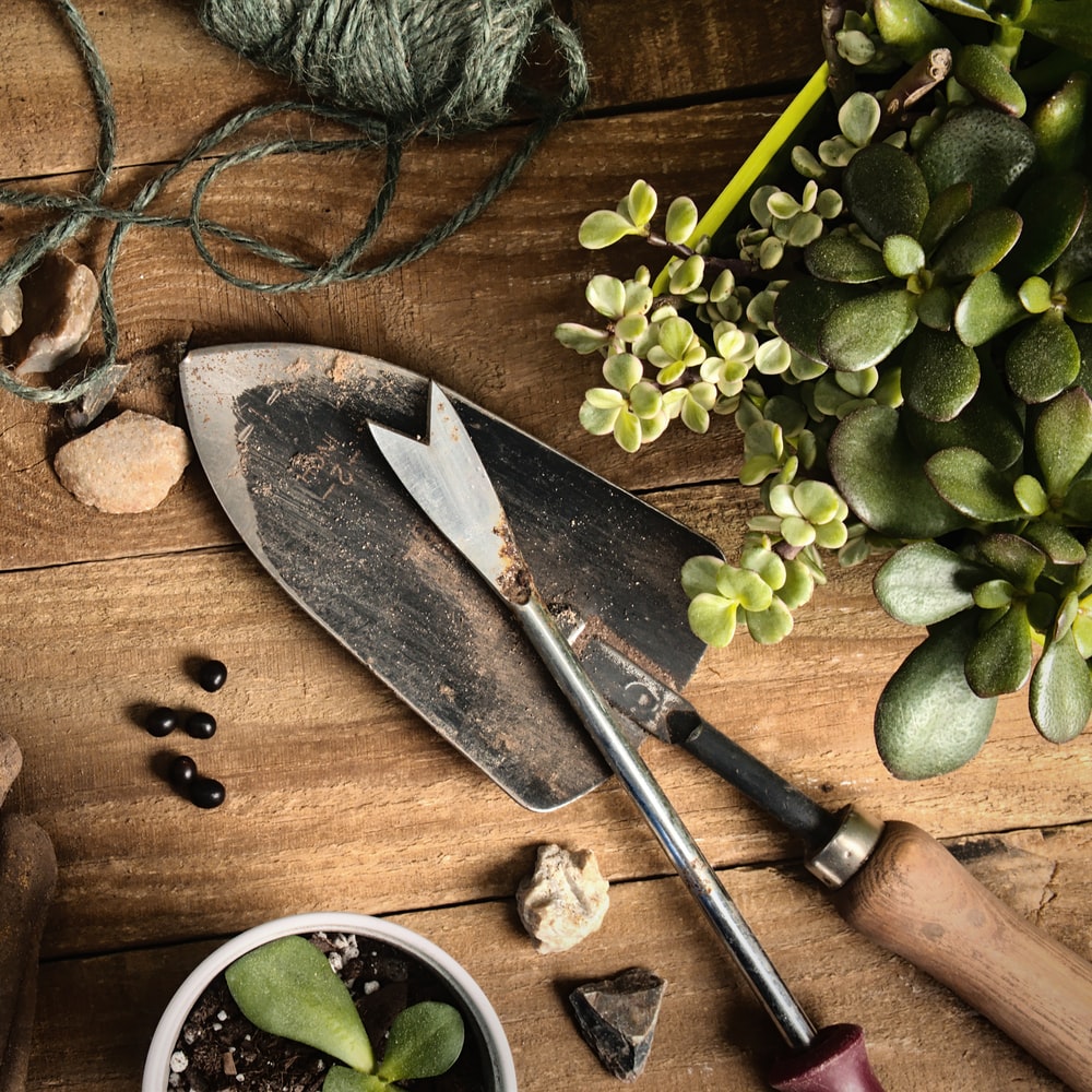 Brown Wooden Handled Knife Beside Green Plant