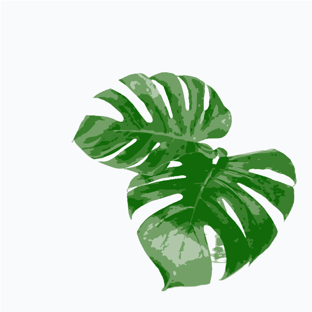 Green Leaves On White Background converted to vector