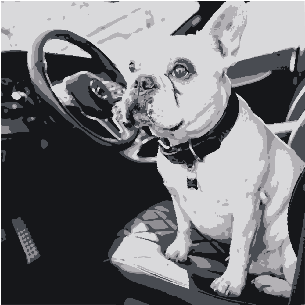White And Black French Bulldog Sitting On Car Seat converted to vector