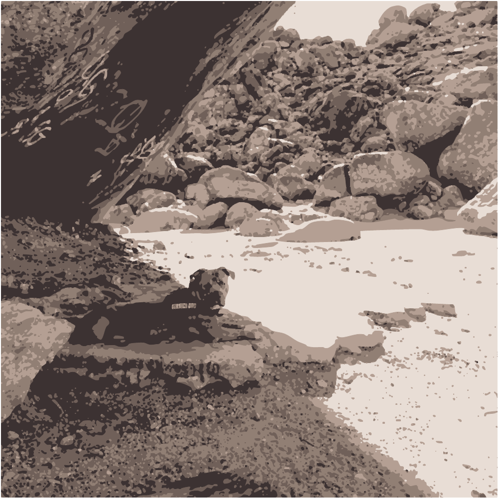Man In Black Shorts Sitting On Rock Near Brown Rock Formation During Daytime converted to vector