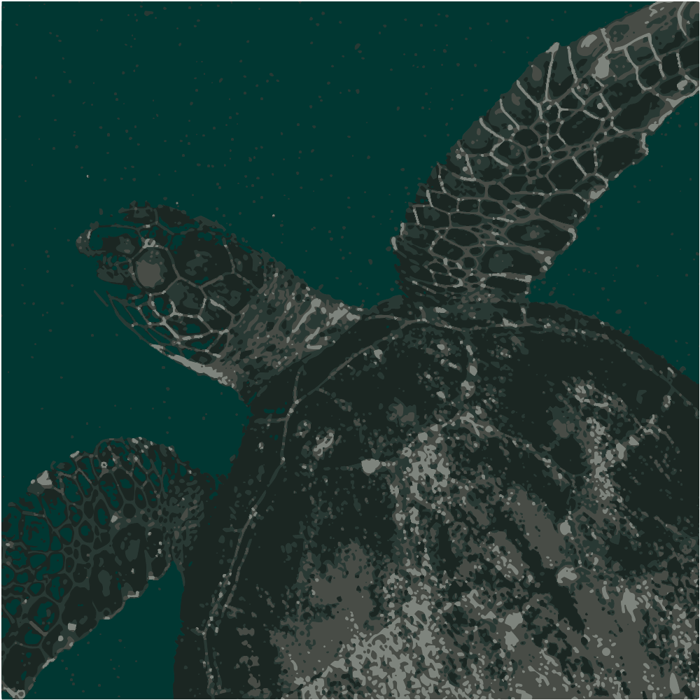 Black And Brown Turtle In Water converted to vector
