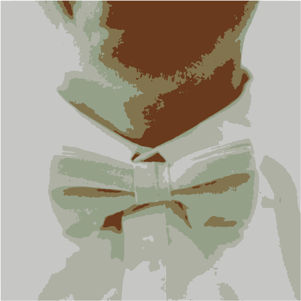 Man In White Dress Shirt With Black Bowtie converted to vector