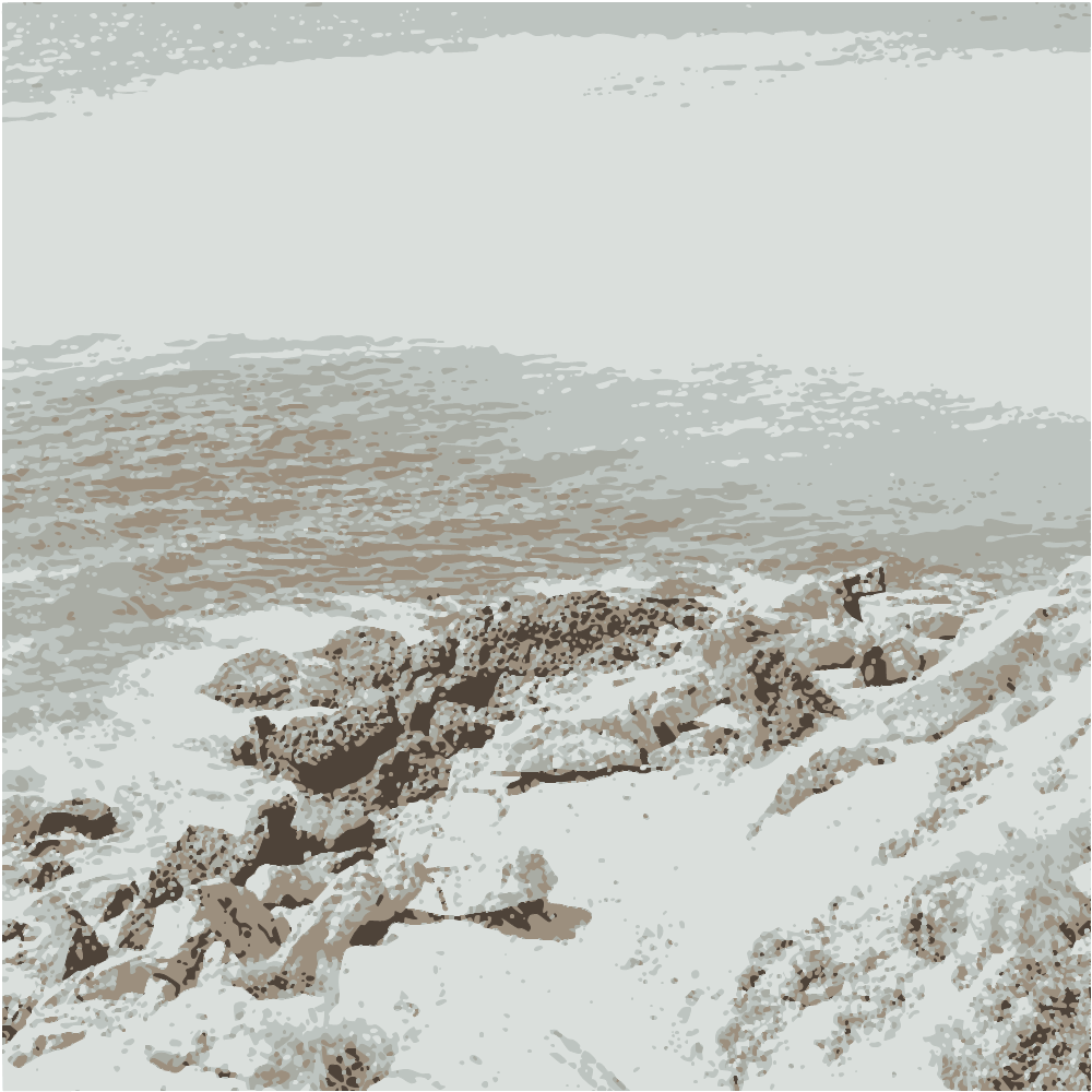 Brown Rocky Shore With Blue Sea Water During Daytime converted to vector