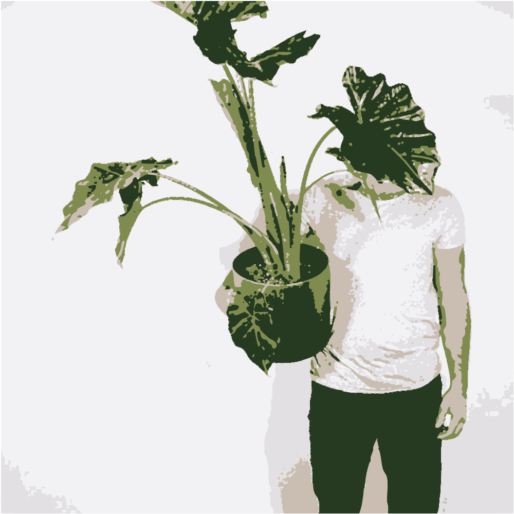 Man In Gray Crew Neck T-Shirt And Black Denim Shorts Holding Green Plant converted to vector