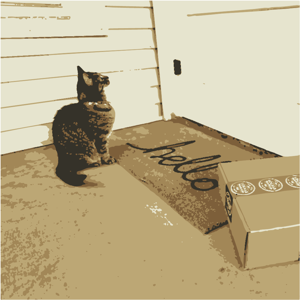 Brown Tabby Cat On Brown Cardboard Box converted to vector