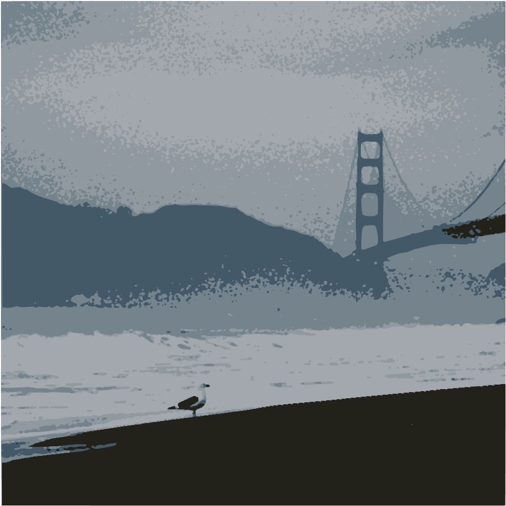 Person Walking On Beach Near Golden Gate Bridge During Daytime converted to vector