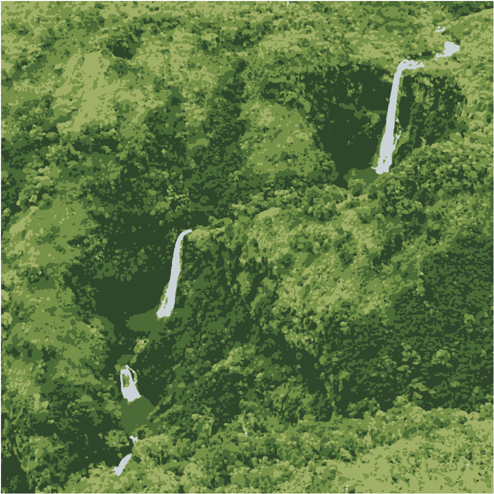 Aerial View Of Green Trees And River During Daytime converted to vector