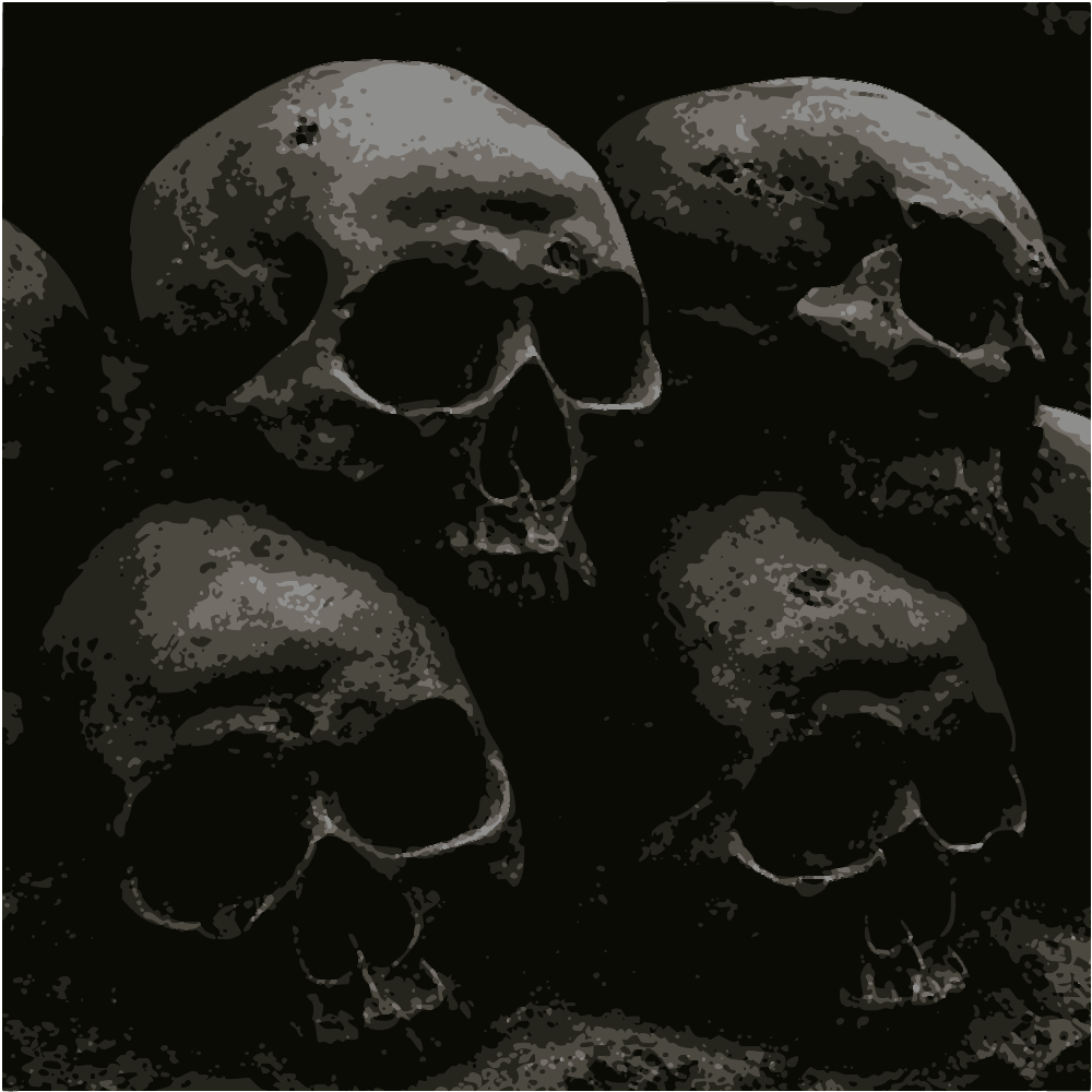 Gray Scale Photo Of Skull converted to vector