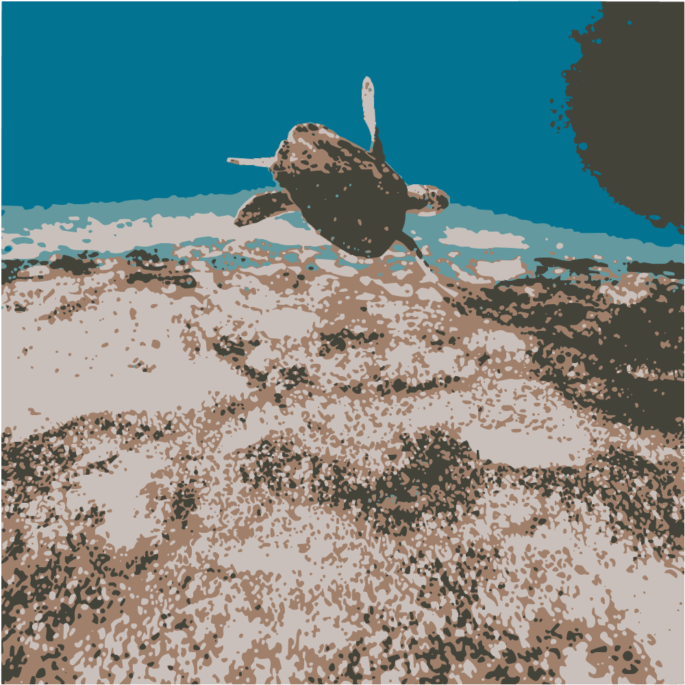Brown And Black Turtle In Water converted to vector