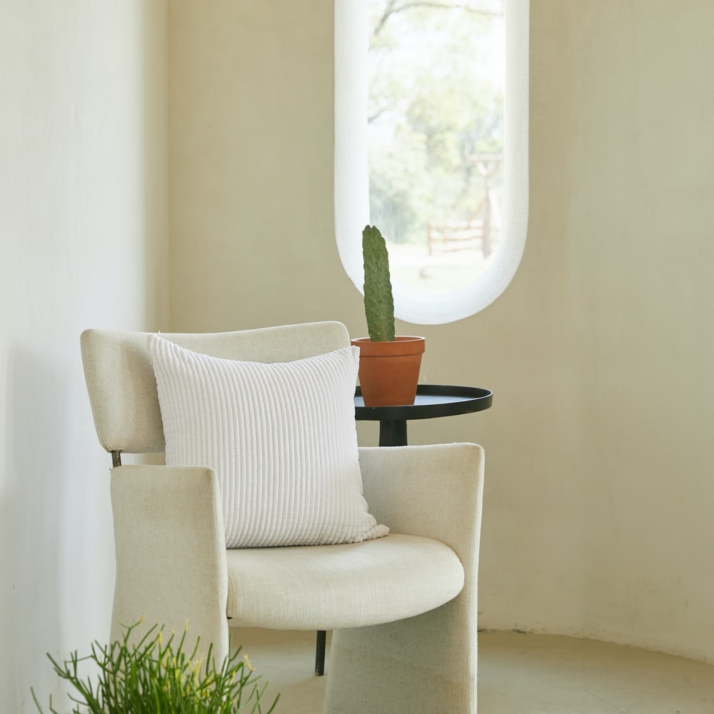 White And Gray Armchair Beside Green Potted Plant