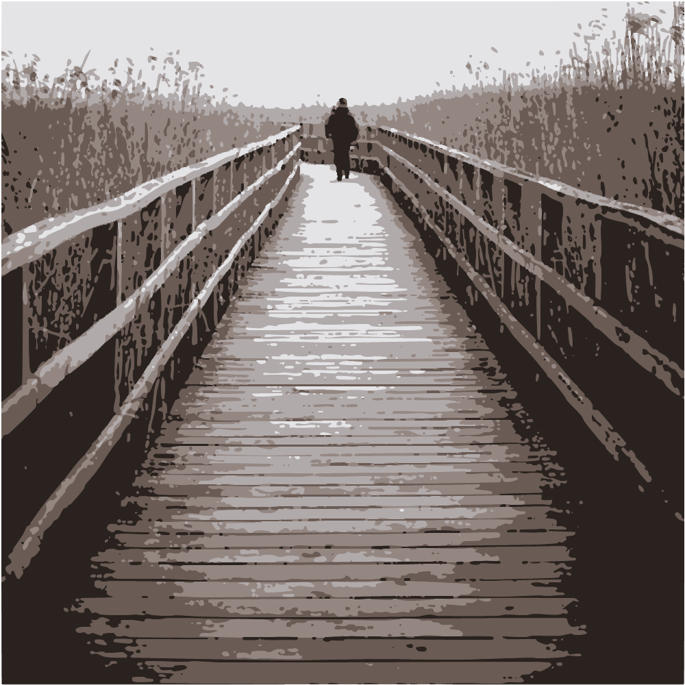 Person Walking On Wooden Bridge During Daytime converted to vector