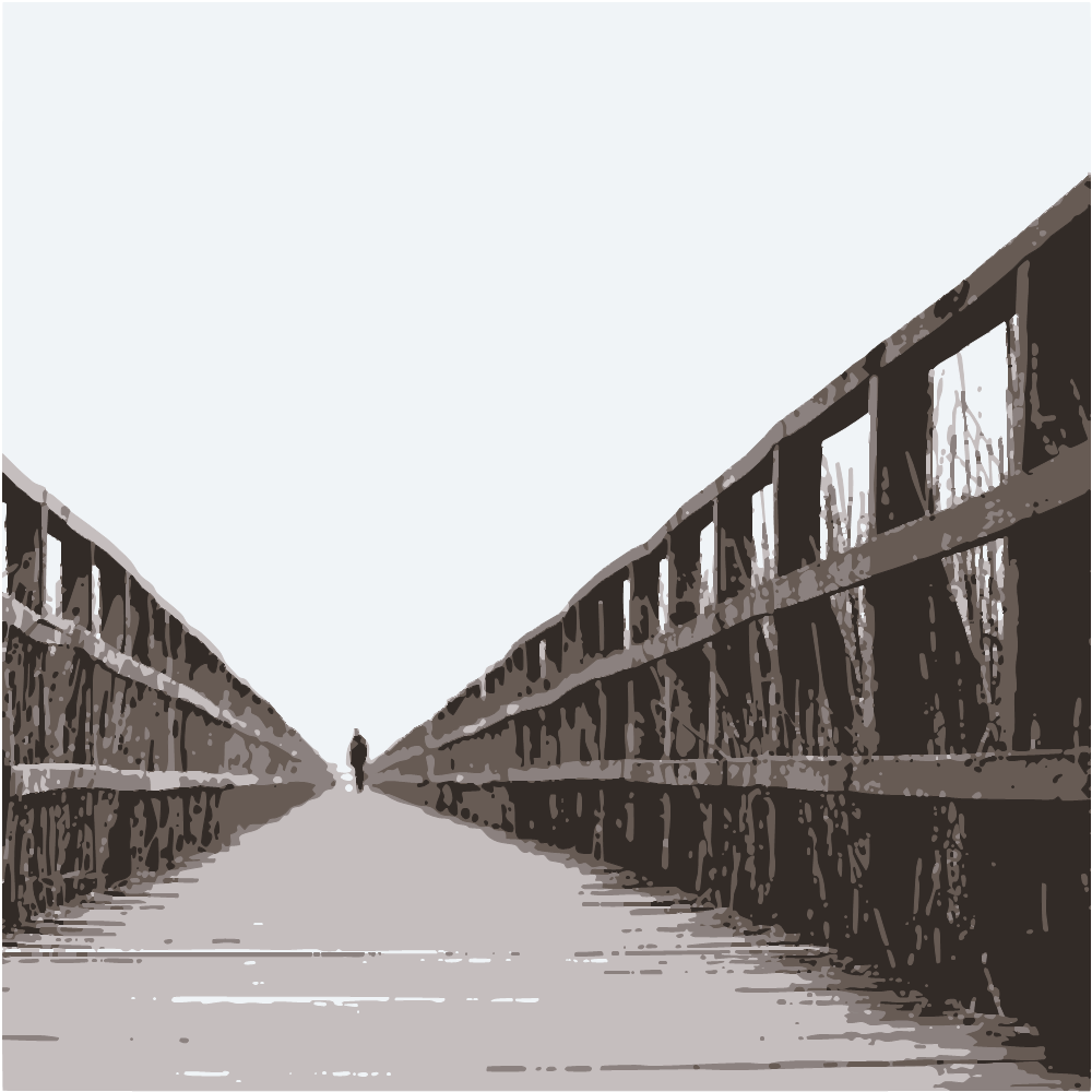 Brown Wooden Bridge Under White Sky During Daytime converted to vector