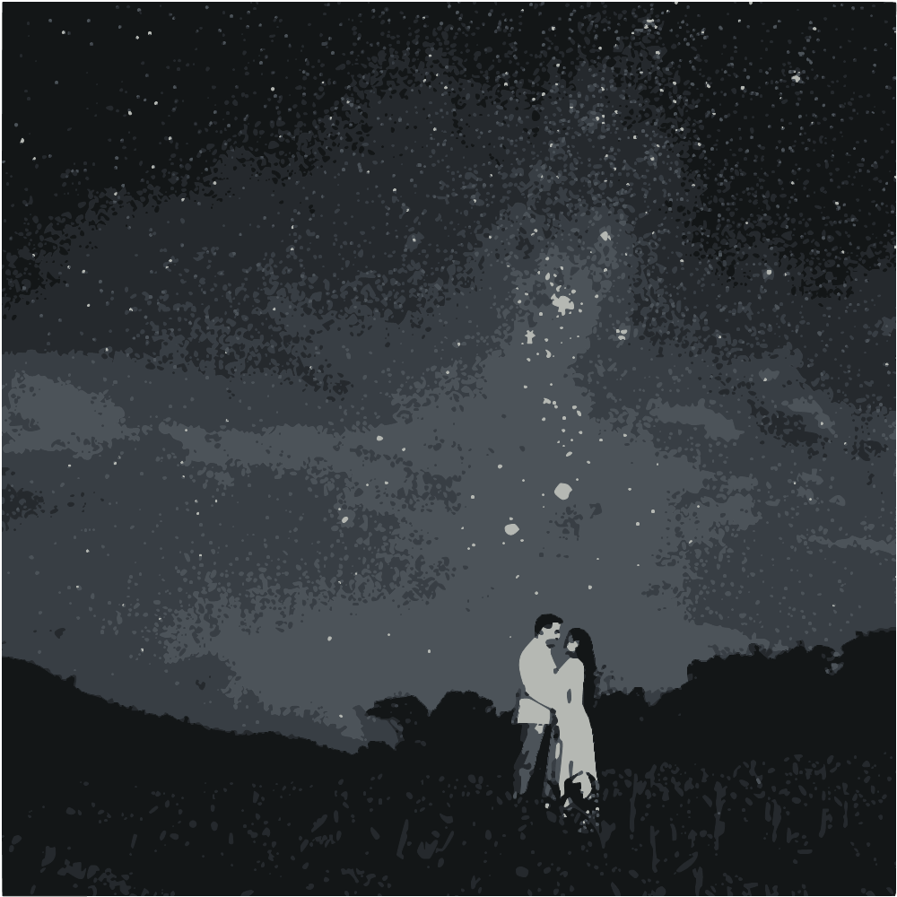 Man And Woman Standing On Brown Grass Field Under Starry Night converted to vector