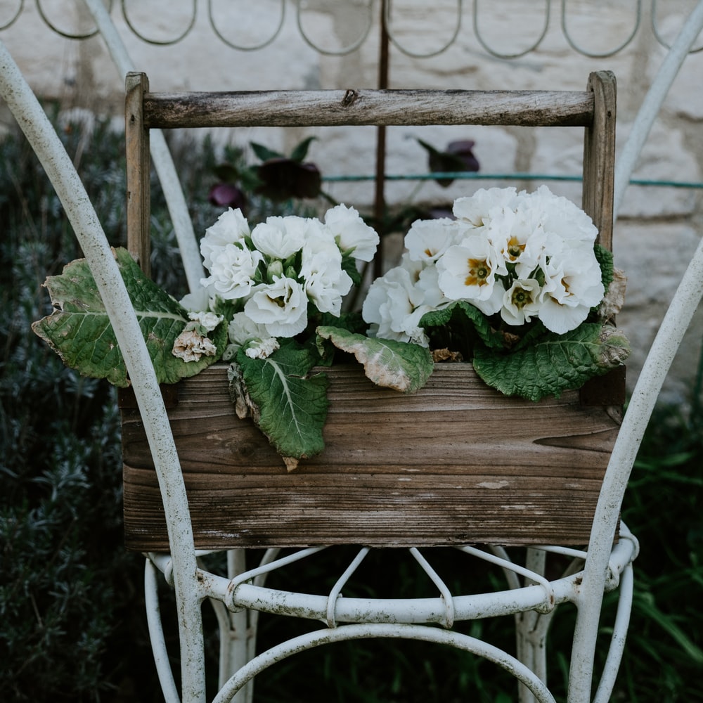White Flowers On Brown Wooden Swing
