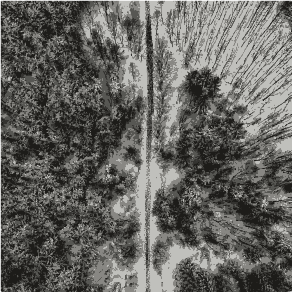 Aerial View Of Green Trees converted to vector