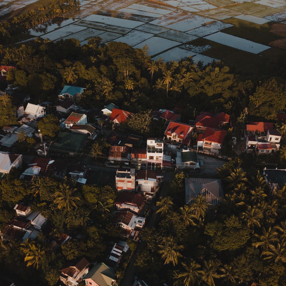 Aerial View Of Houses And Trees During Daytime